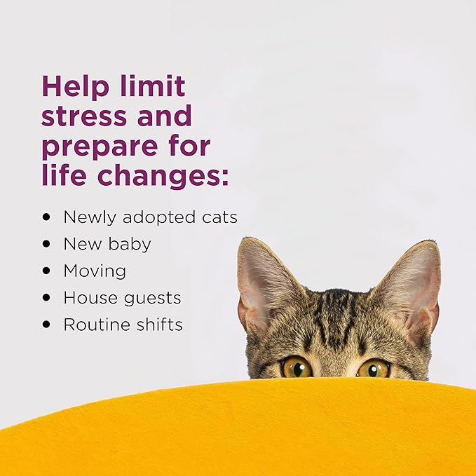 COMFORT ZONE Cat Calming Diffuser Refill, 12 Pack – Cat Calming Pheromone Refills Help Reduce Anxiety, Stress, Scratching, Urine Marking, Aggression, (30-Day Refills, 180-Day Supply)