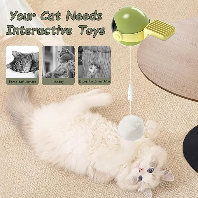 Interactive Cat Toys for Indoor Cats, Hanging Automatic Kitten Feather Toys Retractable Rope, Cat Toys for Bored Indoor Adult Cats with Feather & Fluff Ball & Tassel