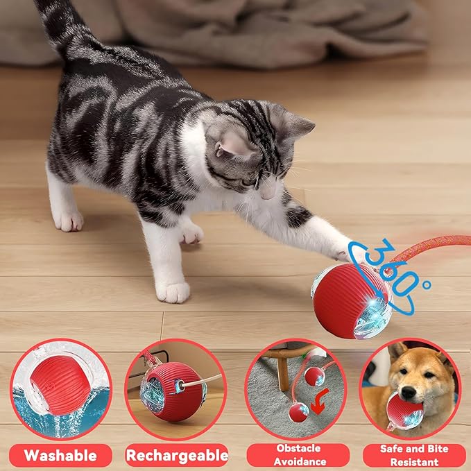 Speedy 2.0 Tail Interactive Cat Toys for Indoor Cats, Automatic Cat Toy with Elastic Mesh Tail, Electric Rolling Ball on Carpet, Chirping and Motion Activate Cat(Grey)