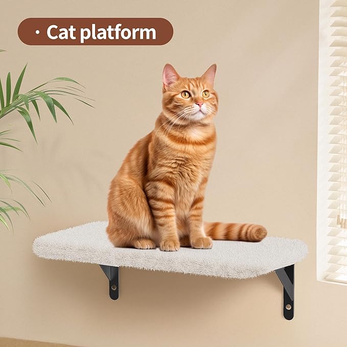 Cat Wall Shelves for Large Cats, Stable & Safe Kitty Walls Furniture Set for 40LBS Cats with Wooden Cat Climber,House, Bridge, Tree, Steps, and Scratcher for 16 Inch Drywall (Beige, 6-in-1)