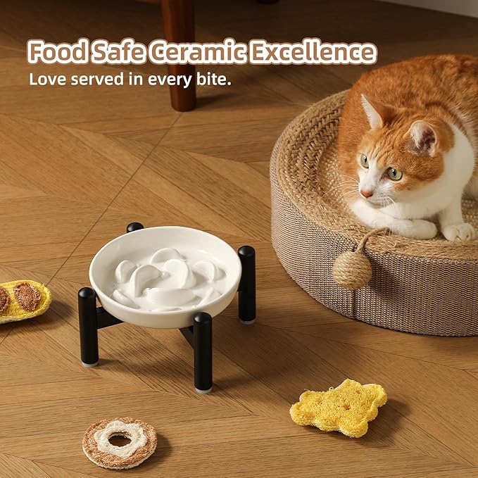 Elevated Slow Feeder Cat Bowl - Ceramic Cat Food Dish with Anti-Slip Stainless Steel Stand - Raised Maze Plate for Slow Eating - Mint Green