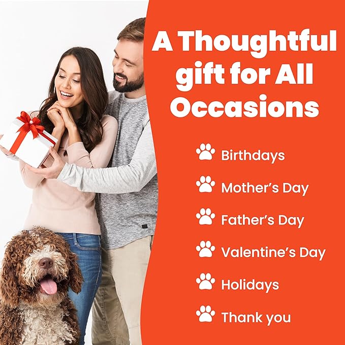 Funny Dog Lover Gift Pen Set – 5 Black Ink Ballpoint Pens with Stylus Tip & Quality Metal Barrel with Doggy-Themed Quotes – Cool Dog Lover Gift for Women, Friends, Vet Tech, Pet Owner, Coworker
