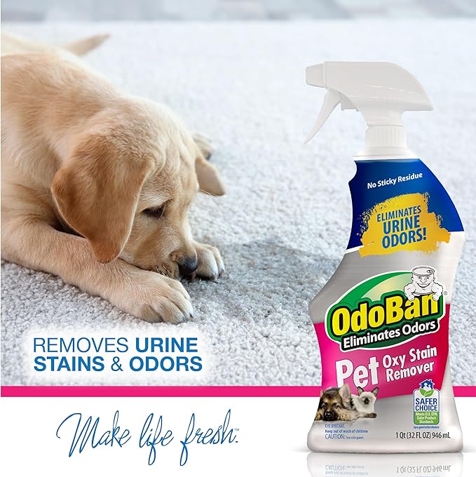 OdoBan Pet Solutions Oxy Stain Remover, Pet Stain Eliminator, 32 Ounce Spray