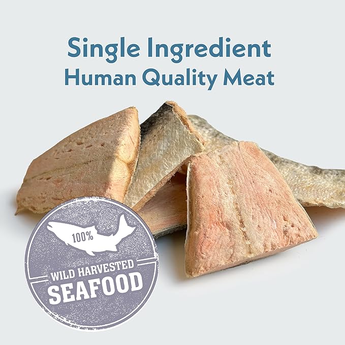 Fresh Is Best Salmon Fillets Freeze Dried Dog Treats – Raw Freeze Dried Fish for Cats & Canines in Resealable Zipper Bag – High-Protein Salmon Dog Treats – Made in the USA