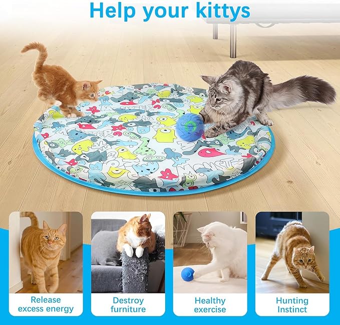 Interactive Cat Toy Ball, Fast Rolling in Pouch, Motion Activated, Hide and Seek, Indoor Exercise