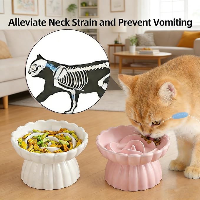 Ceramic Raised Cat Slow Feeder Bowls Whisker Friendly Anti Vomiting Cat Slow Eating Food Bowl for Cats Puppy Dogs Neck Support Plates (White)