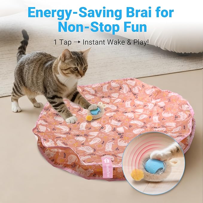 Interactive Cat Toys for Indoor Cats Fast Rolling Ball, Automatic Motion Activated Ball, Hide and Seek for Indoor Exercise Toys, Real Bird Squeaky for Kitten Exercise Kicker