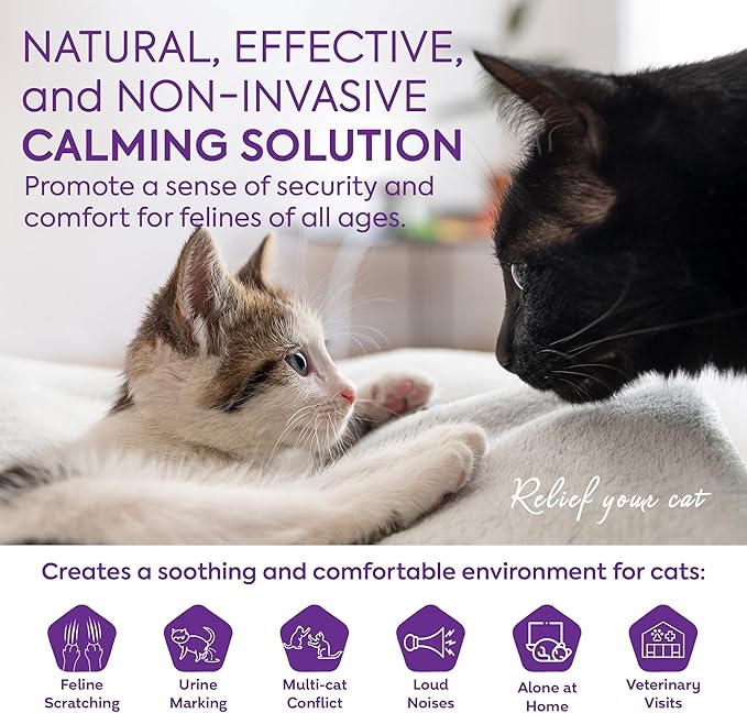 TopSum Cat Calming Diffuser Refills: Premium Cat Pheromones Calming Diffuser Refills - 2-Month Supply Cat Plug in Pheromones to Calm Cat - Promote Positive Behavior in Cats, 2 Pack