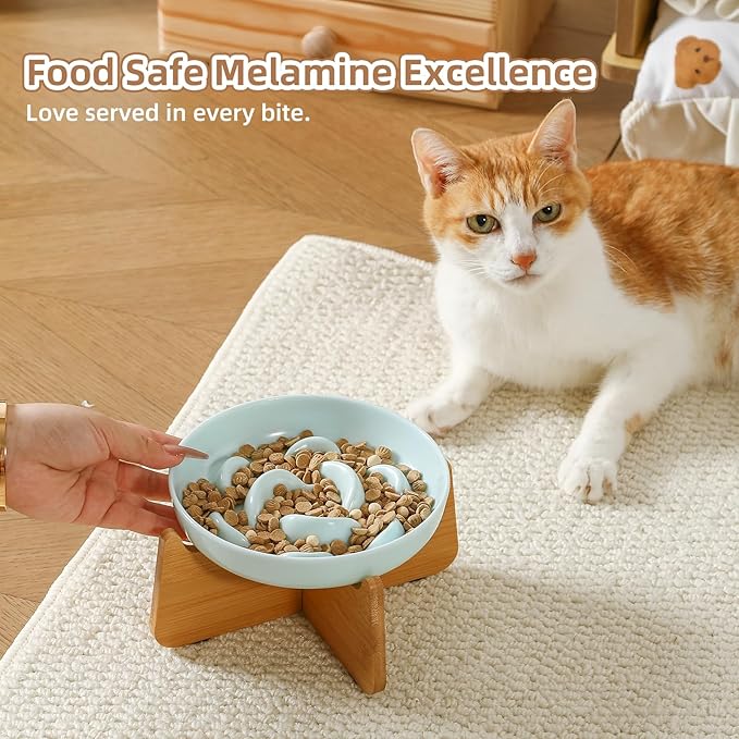 Elevated Slow Feeder Cat Bowl - Melamine Cat Food Plate with Anti-Slip Bamboo Stand - Whisker Friendly Feeding Bowl - Raised Maze Dish for Slow Eating - Mint Green