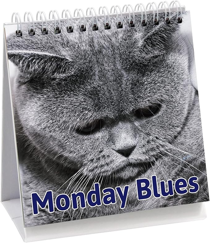 Fancy Land Funny Desk Signs for Kitten Lovers 30 Different Fun and Flip-Over Messages for Office Desk Accessories