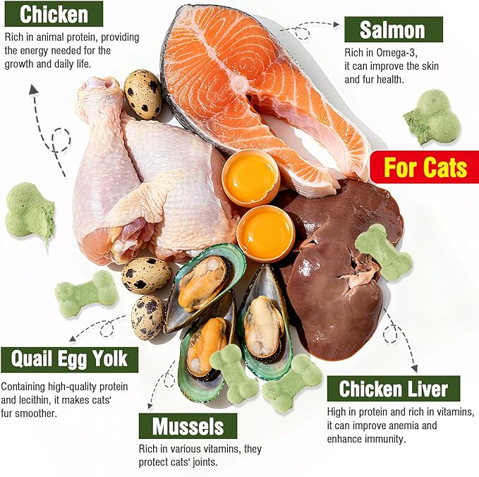 Crunchy Freeze-Dried Salmon Cat Treats – Natural & Healthy for Cats of All Breeds