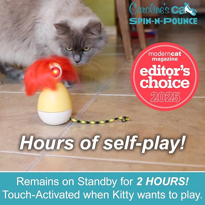 Caroline's Cats Automatic Cat Toy - Rechargeable Spin-N-Pounce with Touch Sensor, Silent Motor, 360-Degree Rotation, Interactive Kitten Toys for Indoor Cats, Encourages Self-Play and Exercise
