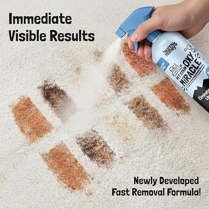 Sunny & Honey Oxy Pet Stain and Surface Odor Remover - Fast Acting Carpet Cleaner Spray to Eliminate Dog Pee, Vomit, and Stubborn Stains - Unscented, 32oz