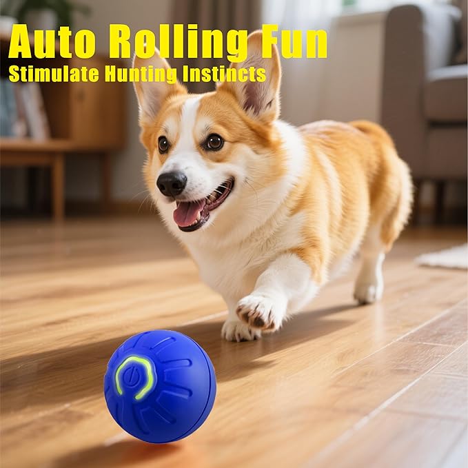 Interactive Self-Moving Pet Toy Ball - Motion-Activated Auto Rolling, Military-Grade Chew Resistant, USB-C Rechargeable for Small Dogs & Cats (Orange, Small) (Orange, Small)