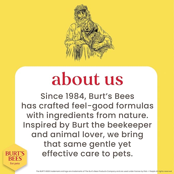 Burt's Bees for Pets Double Sided Pin & Hemp Bristle Dog Brush - Best All-Purpose Dog Brush to Reduce Shedding - For Long & Short Haired Large Dogs, Bamboo (Pack of 2)