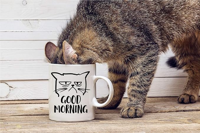 CBTwear Good Morning Funny Grumpy Cat 11oz White Ceramic Coffee Mug - Cute Unique Cat Mom Gifts for Birthdays, Anniversaries, or Any Occasion