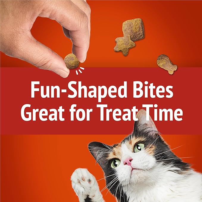 Purina Friskies Cat Treats, Party Mix Gravy-licious Crunch Chicken and Gravy Flavors - (Pack of 6) 6 oz. Pouches