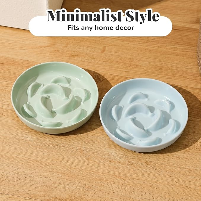 Melamine Cat Slow Feeder Bowl - Pastel Series Cat Plate for Dry and Wet Food - Cute Maze Feeder Dish for Healthy Eating - Dishwasher Safe - 6.3''W x 1.2''H - 7 OZ - Mint Green