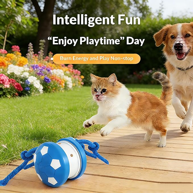 Interactive Cat Toy Ball, Motion Activated Smart Rolling Toy for Indoor Cats, Rechargeable Interactive Toy Ball for Indoor Cats Exercise, Automatic Moving Ball for Boredom to Keep Cats Busy