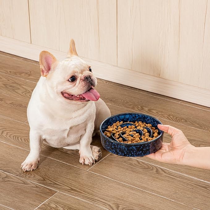 vancasso Slow Feeder Dog Bowl, 0.6 Cups Ceramic Dog Food Dish for Fast Eaters Small Breed, Puzzle Bowl for Small Dogs and Cats, Blue