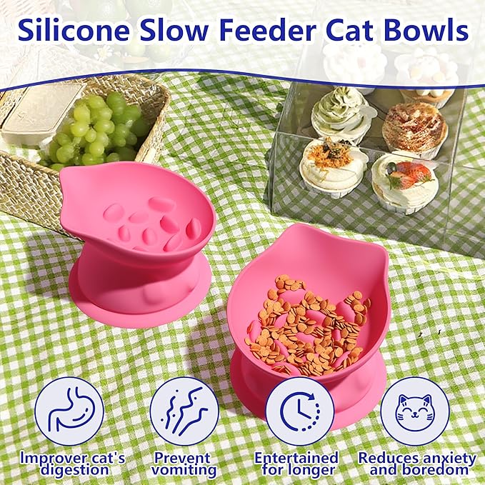 Slow Feed Cat Bowl, Elevated Cat Food Dish with Tilted Design, Dual-Use for Dry and Wet Food, Anti-Vomit, Anti-Choking, Easy to Clean