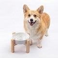 Petygooing Elevated Slow Feeder Ceramic Dog Bowls 8.26in, Slow Feeder Elevated Bowl for Small&Medium, Ceramic Slow Feeder Heavy Weighted Non-Toxic Non-Slip Puzzle Maze (White, 8.26in)
