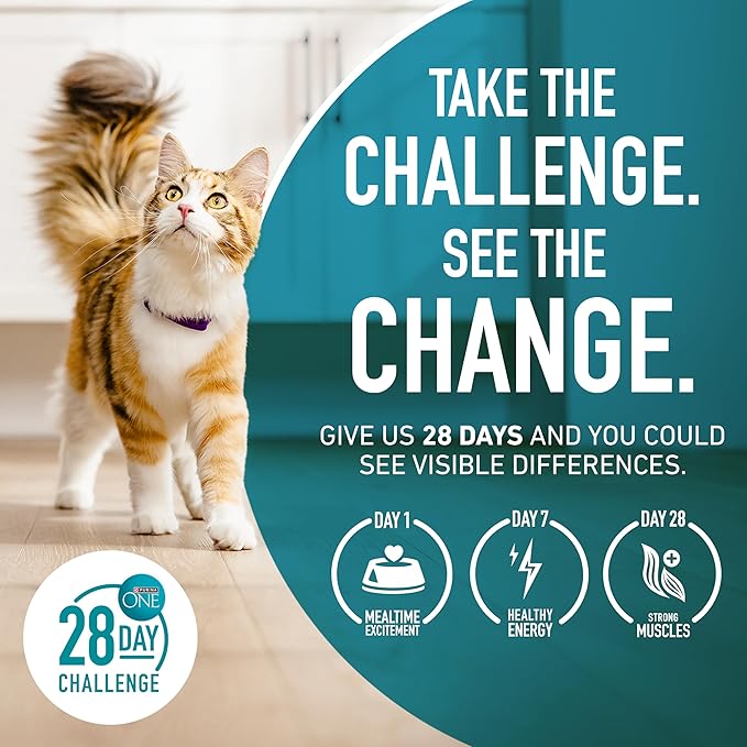 Purina ONE Natural, Low Fat, Weight Control, Indoor Dry Cat Food, +Plus Indoor Advantage - 7 lb. Bag