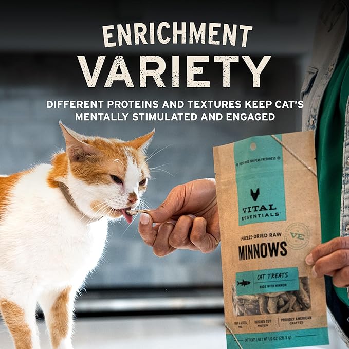Vital Essentials Freeze Dried Raw Chicken Hearts Cat Treats | Single Ingredient | Premium Quality | Grain Free, Healthy Treats for Cats, 0.8 oz Bag