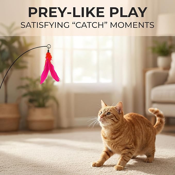 Interactive cat Toys
