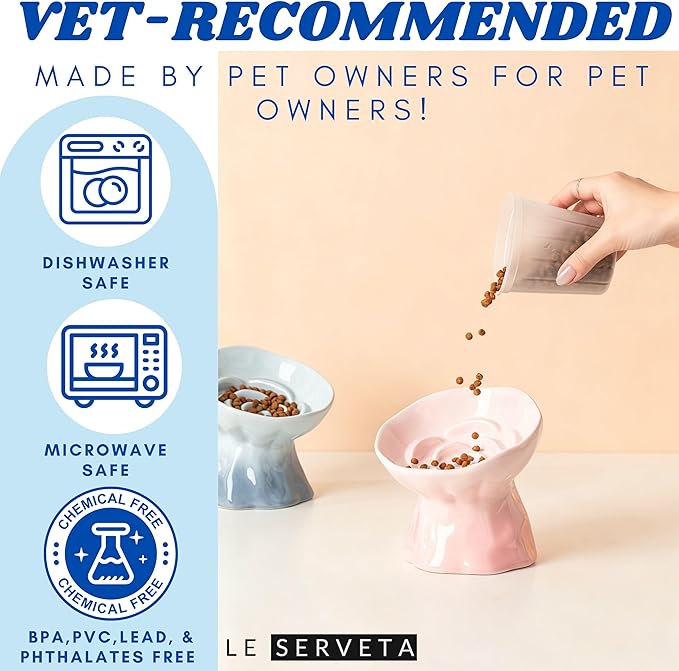 Elevated Ceramic Cat Bowl, Tilted Slow Feeder Pet Dish with Gradient Color Coating, 3.3 Ounces Capacity, Anti-Gulping Design with Rose Bouquet Design (Gradient Blue)