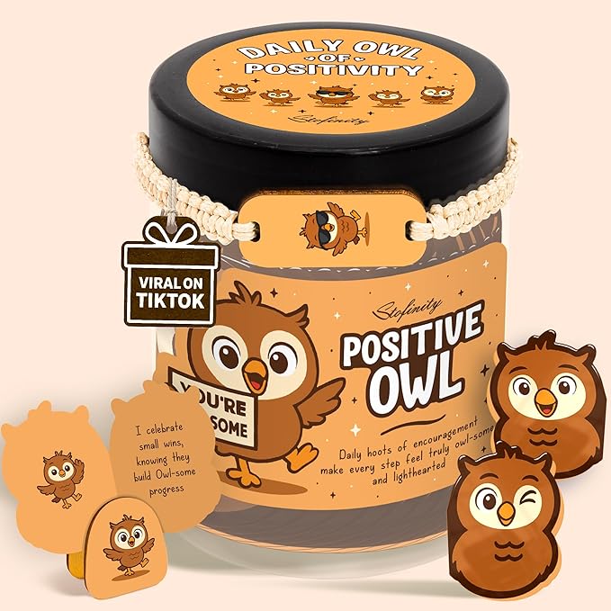 Stofinity Positive Owl Affirmation Jar – Emotional Support Owl Gifts For Women, 60 Stress Relief And Daily Encouragement Cards, Christmas Basket White Elephant Exchange Gift Ideas