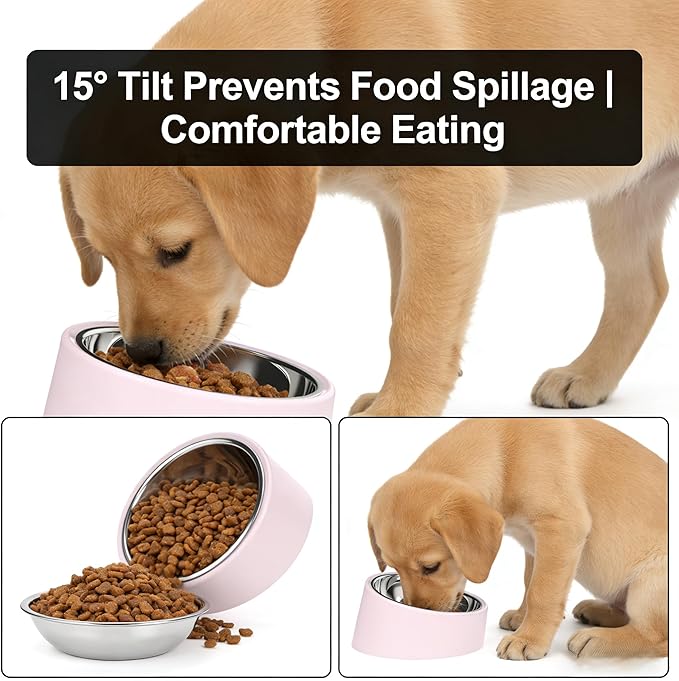 Tilted Slow Feeder 15° Elevated Non-Slip, BPA-Free Vet-Recommended Easy Clean Water Dish for Small Pets (Pink)