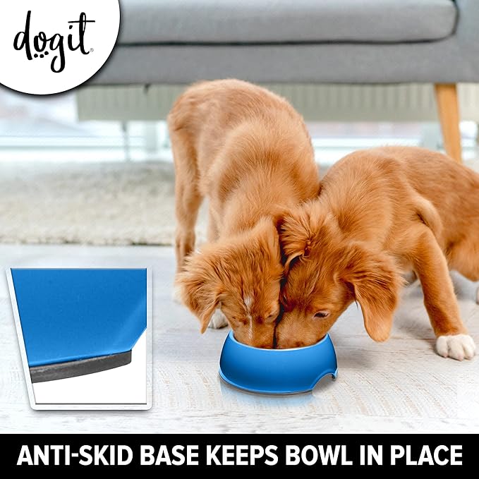 Dogit Dog Bowl Slow Feeder for Wet or Dry Dog Food, Go Slow Anti-Gulping Dog Dish, Blue, S