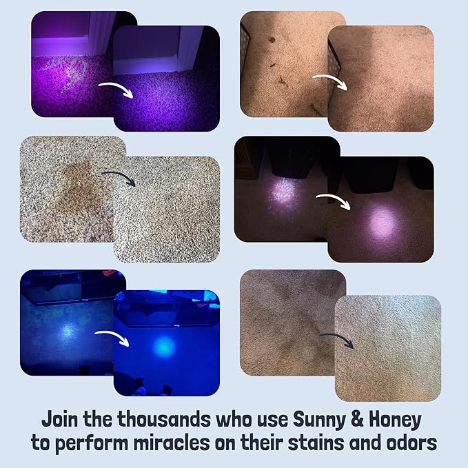 Sunny & Honey Pet Stain and Odor Remover - Enzyme Cleaner for Dog Urine and Poop on Carpets and Furniture - Strong Pet Carpet Cleaner Spray (1 Gallon Mint)