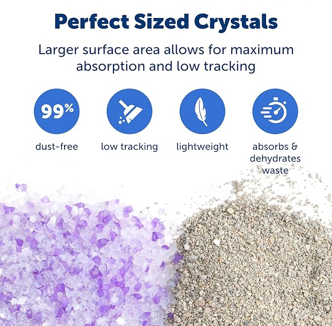 PetSafe ScoopFree Premium Crystal Cat Litter - Outperforms Clay Litter - Refill Packs - Reusable Tray Compatible - Lavender Scent - 4.3 lb Bags - 2 Pack