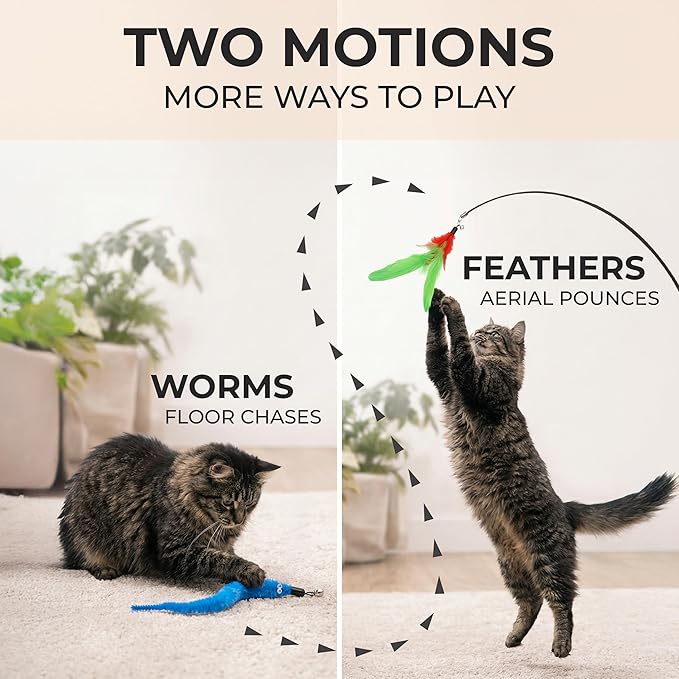 Interactive cat Toys