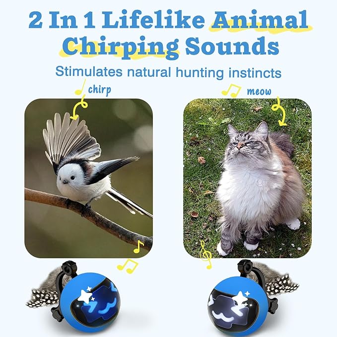 Moving Ball Cat Toys with Feather Tail, Rechargeable 2025 New Interactive Toy with Remote Control for Indoor Cats Exercise, Smart Interactive Kitten Rolling Ball