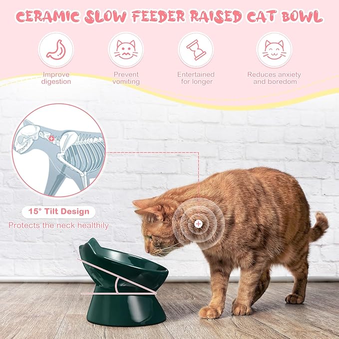 2 Pcs Ceramic Raised Slow Feeder Cat Bowl, 5.91inch Elevated Cat Slow Feeder Bowl Tilted Anti Vomiting for Dry Wet Food and Water Easy to Clean High Edge(Dark Green, Pink)