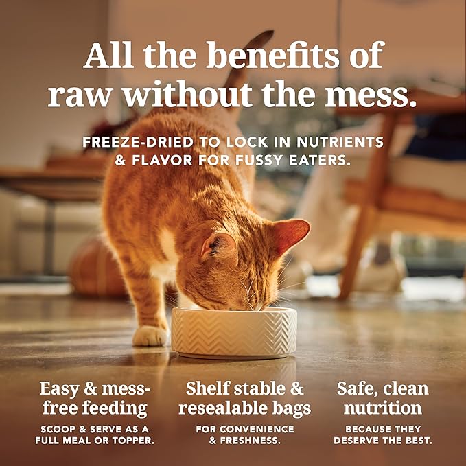 Feline Natural Freeze Dried Cat Food - Grain-Free and High Protein Cat Food from New Zealand, Complete Meal or Topper for Kittens, Adults, and Senior Cats, Chicken and King Salmon, 3.5oz