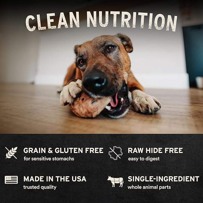 Vital Essentials Freeze-Dried Raw Chicken Necks Dog & Cat Treats, 1.23-oz | Single Ingredient Dog & Cat Treats for Light Chewers | Made in USA