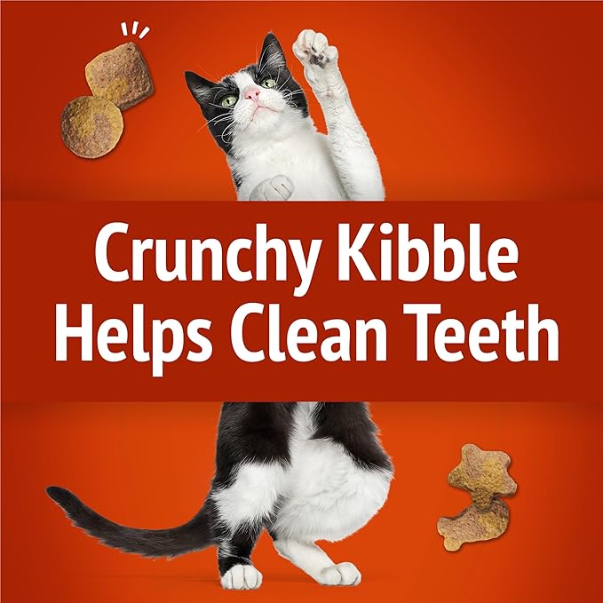 Purina Friskies Cat Treats, Party Mix Gravy-licious Crunch Chicken and Gravy Flavors - (Pack of 6) 6 oz. Pouches
