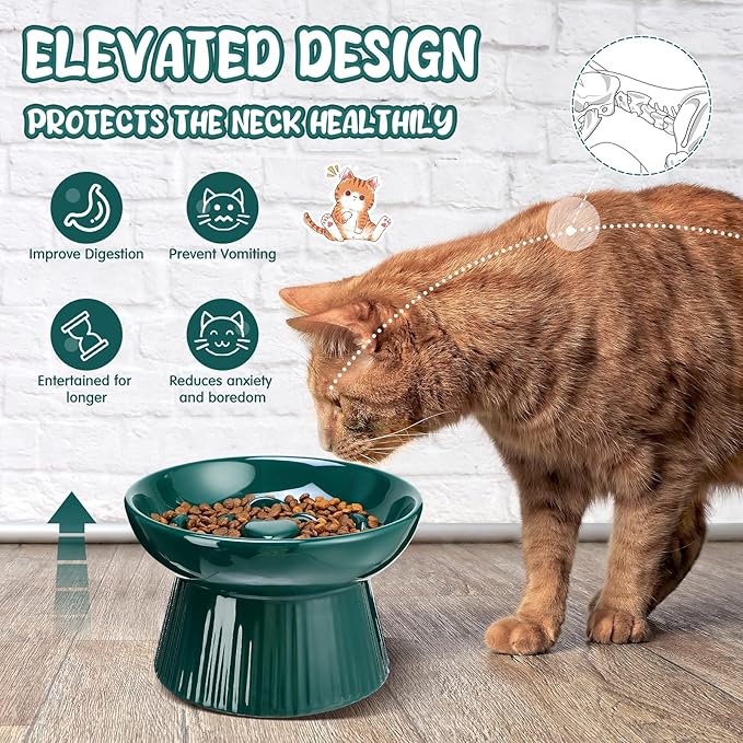 Tioncy 1 Pcs Raised Cat Slow Feeder Bowl Ceramic Elevated Cat Dog Food Bowl No Spill High Edge for Dry Wet Food and Water Easy to Clean, Dishwasher Safe (Dark Green)