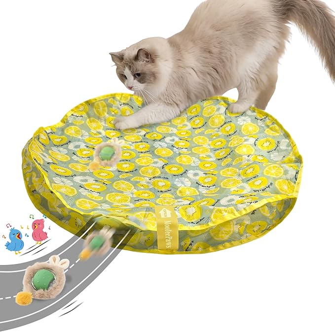 Interactive Cat Toys for Indoor Cats Fast Rolling Ball, Automatic Motion Activated Ball, Hide and Seek for Indoor Exercise Toys, Real Bird Squeaky for Kitten Exercise Kicker (Yellow)