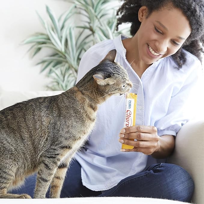INABA Churu Cat Treats, Grain-Free, Lickable, Squeezable Creamy Purée Cat Treat/Topper with Vitamin E & Taurine, 0.5 Ounces Each Tube, 48 Tubes (4 per Pack), Chicken with Shrimp Recipe