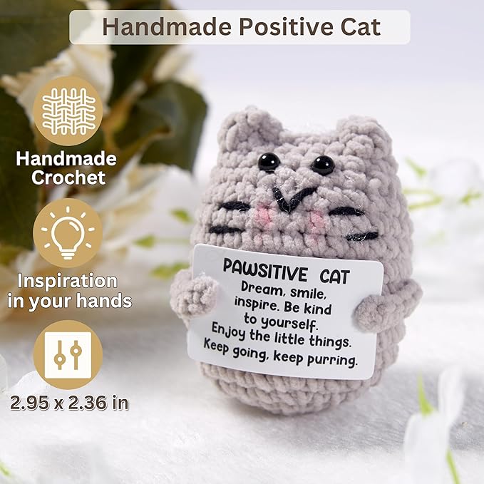 Funny Cat Lovers Gifts for Women, Cat Mom Mothers Day Gifts Box, Premium Cats Themed Gifts Set for Women with Borosilicate Glass Cup Crochet Doll & Socks, Crazy Cats Lady Gift Basket for Birthday