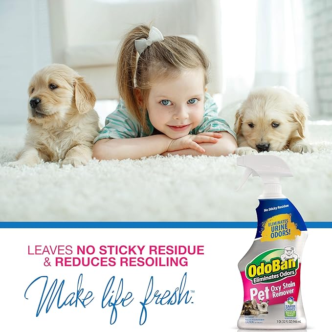 OdoBan Pet Solutions Oxy Stain Remover, Pet Stain Eliminator, 32 Ounce Spray