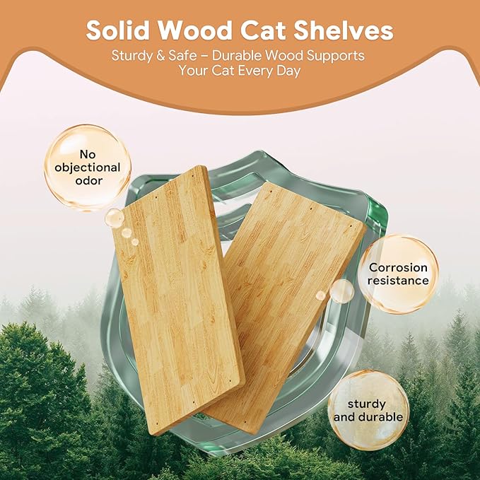 3Pcs 16.5"×10" Large Cat Wall Shelves - Wall Mounted Cat Shelves, Natural Wood with Fixtures for Large Cats and Kittens for Household Pets Sleeping, Playing, Climbing