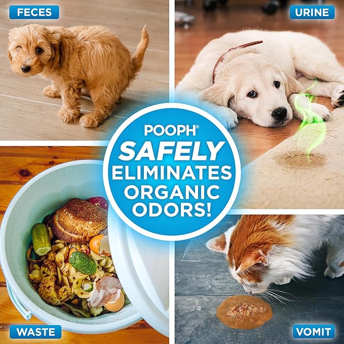 POOPH Pet Odor Eliminator Laundry Additive - 2-32oz Bottles - Eliminates Odors at The Molecular Level, Dogs, Cats, Freshener, Eliminator, Urine, Poop, Pee, Deodorizer, Puppy, Fresh, Clean
