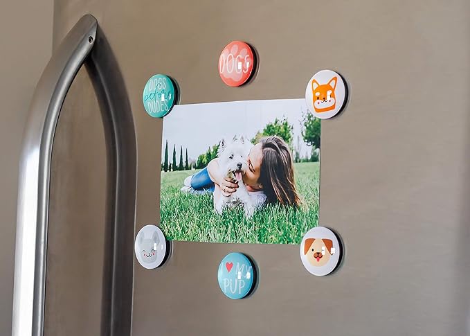 Pearhead Dog Kitchen Magnets, Pet Themed Refrigerator Magnets, Dog Décor