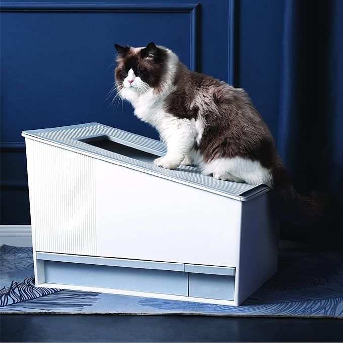 HONEY CARE Self-Cleaning Cat Litter Boxes, Automatic Cat Litter Box for Multiple Cats, APP & Alexa Voice System Smart Secure Control, Matte White